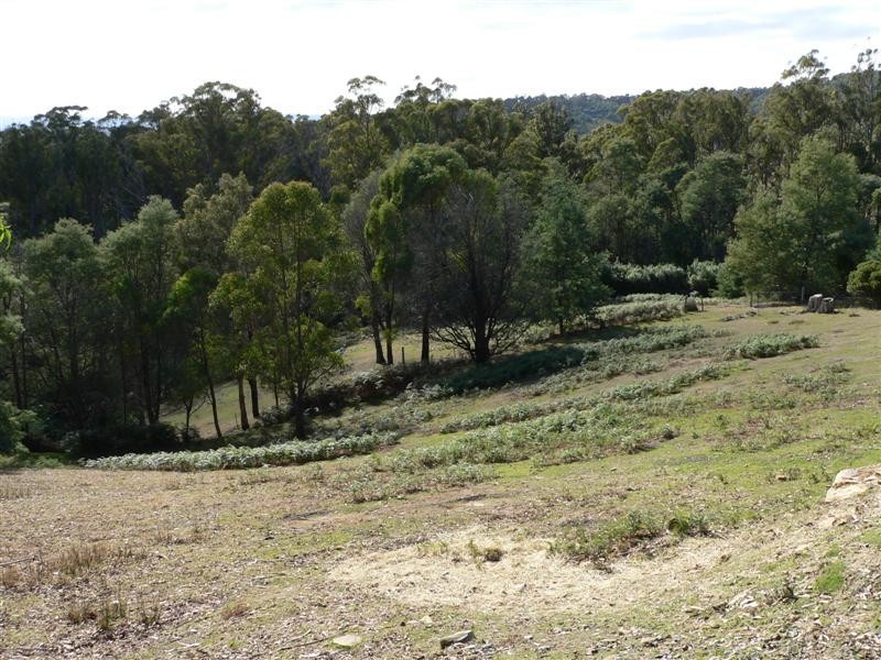 67 Blackberrys Road, Glengarry TAS 7275