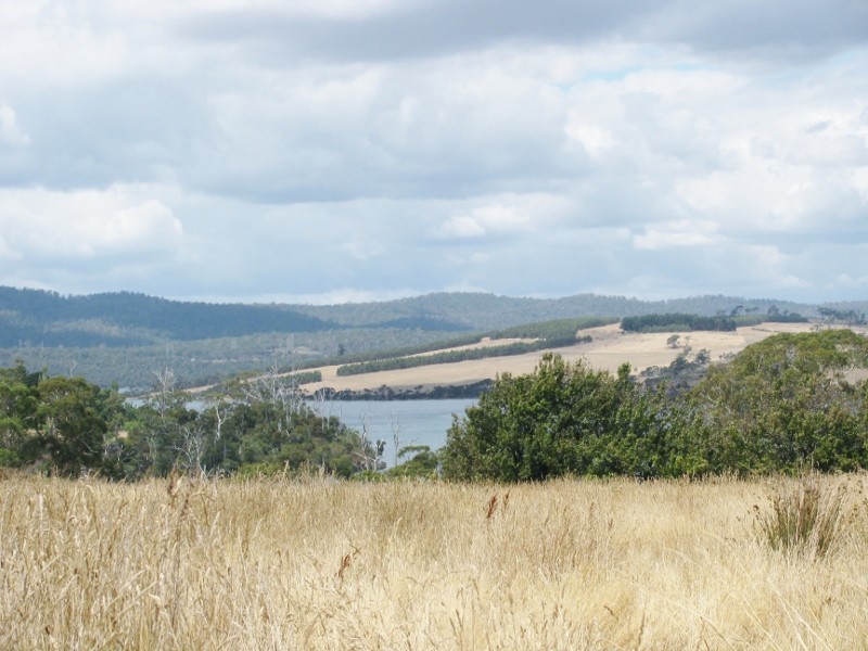 410 Rowella Road, Rowella TAS 7270