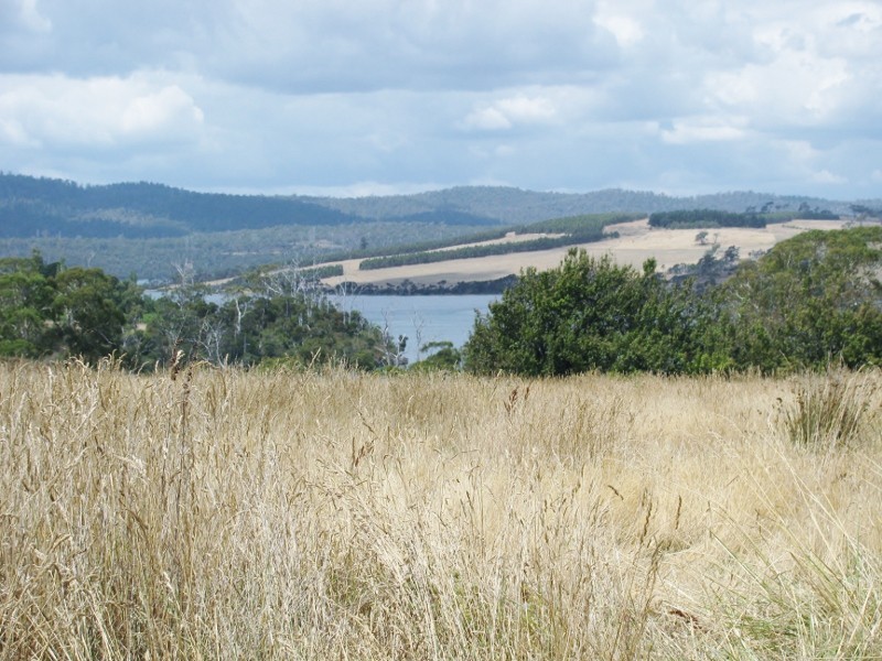 410 Rowella Road, Rowella TAS 7270