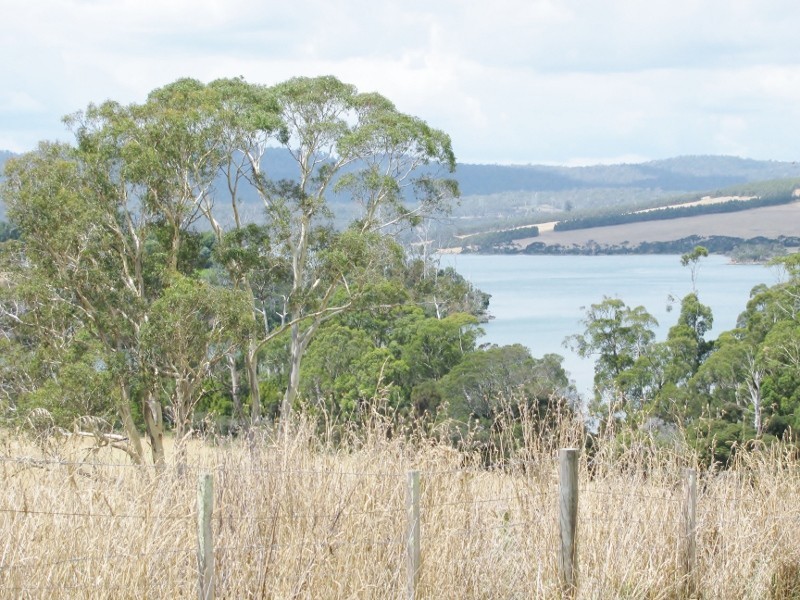 410 Rowella Road, Rowella TAS 7270