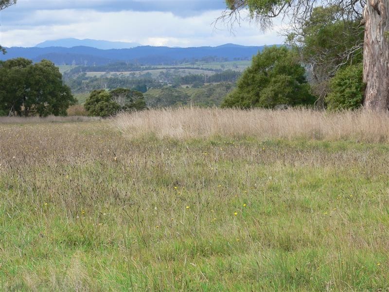 410 Rowella Road, Rowella TAS 7270