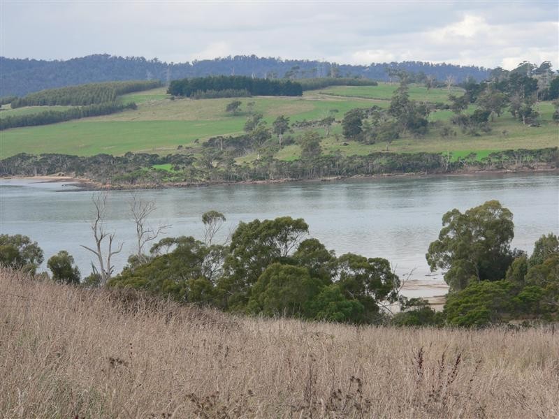 410 Rowella Road, Rowella TAS 7270