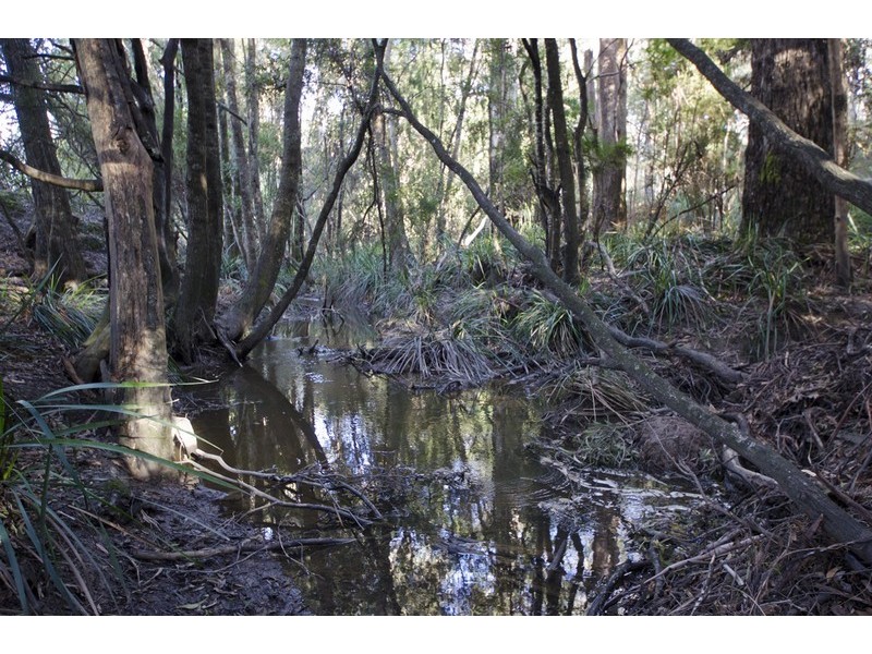 3541 West Tamar Hwy, Sidmouth TAS 7270