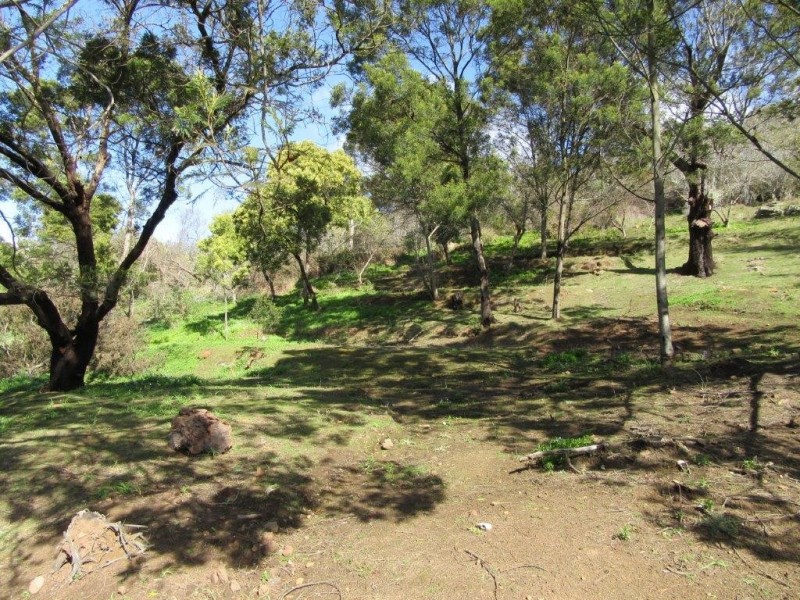 289 Rosevears Drive, Rosevears TAS 7277