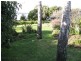384 Deviot Road, Deviot TAS 7275