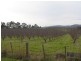 77 Clarks Road, Rowella TAS 7270