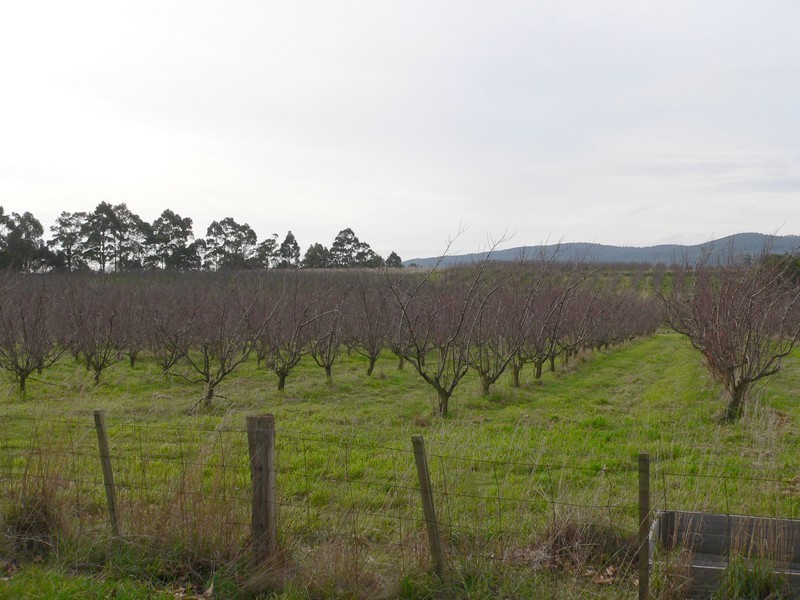 77 Clarks Road, Rowella TAS 7270