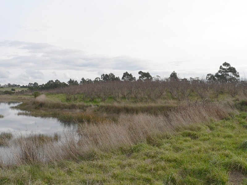 77 Clarks Road, Rowella TAS 7270