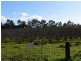 77 Clarks Road, Rowella TAS 7270