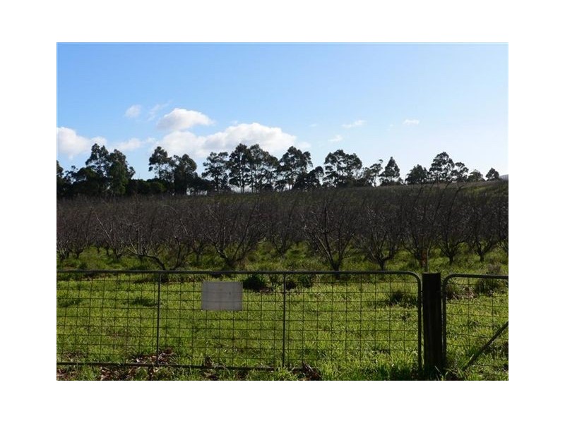 77 Clarks Road, Rowella TAS 7270
