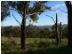 42a Bradys Lookout Road, Rosevears TAS 7277