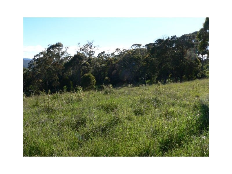 42a Bradys Lookout Road, Rosevears TAS 7277