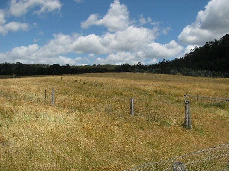 146 Smiths Road, Flowery Gully TAS 7270