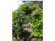 89 Rowella Road, Sidmouth TAS 7270