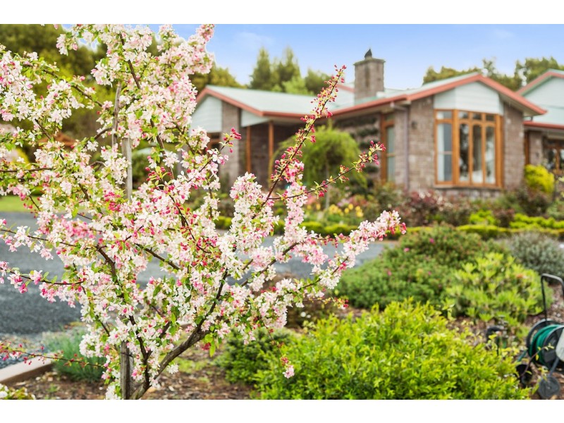 563 Deviot Road, Deviot TAS 7275