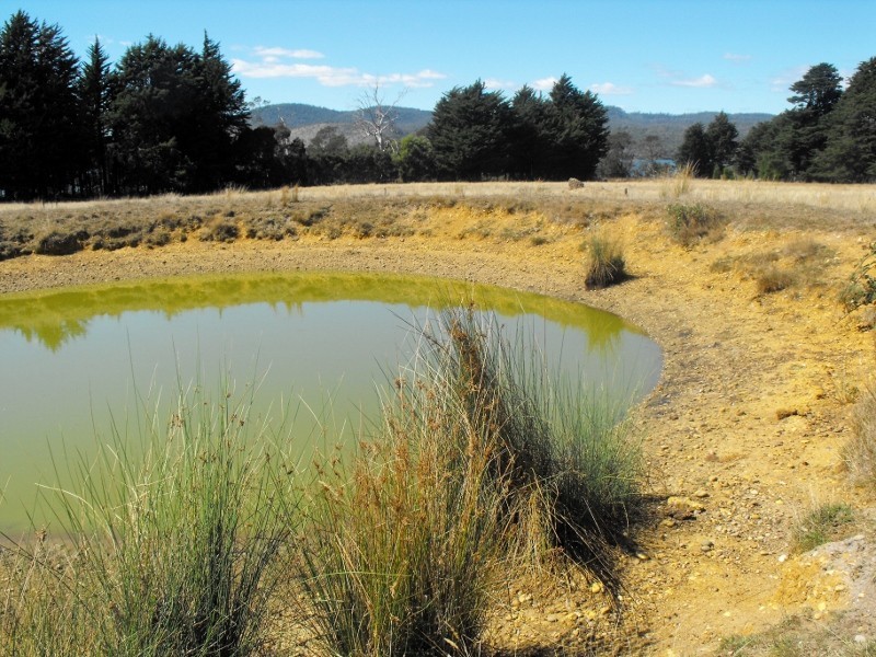 54 Calverts Lane, Gravelly Beach TAS 7276