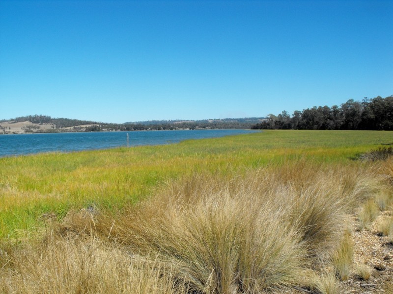 54 Calverts Lane, Gravelly Beach TAS 7276