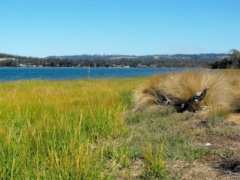 54 Calverts Lane, Gravelly Beach TAS 7276