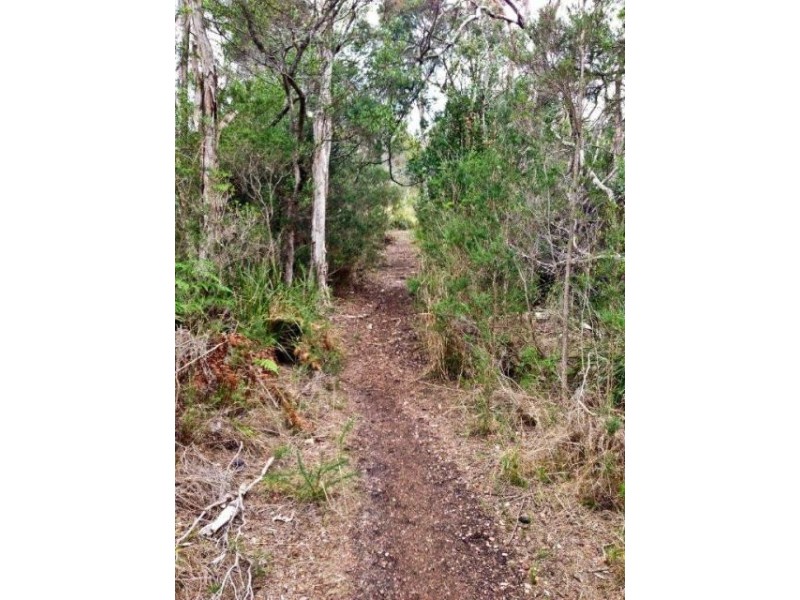 Lot 22, 107 Paper Beach Road, Swan Point TAS 7275