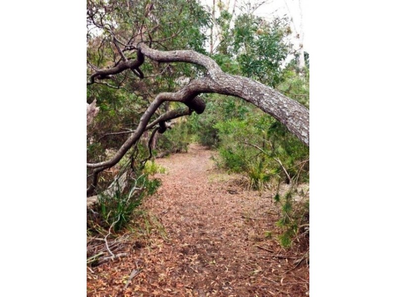 Lot 22, 107 Paper Beach Road, Swan Point TAS 7275