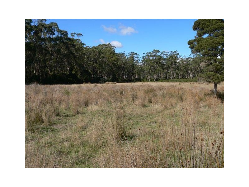 136 Long Plains Road, Exeter TAS 7275