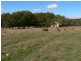 136 Long Plains Road, Exeter TAS 7275