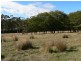 136 Long Plains Road, Exeter TAS 7275