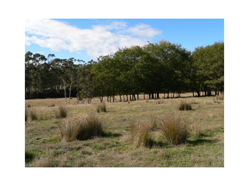 136 Long Plains Road, Exeter TAS 7275