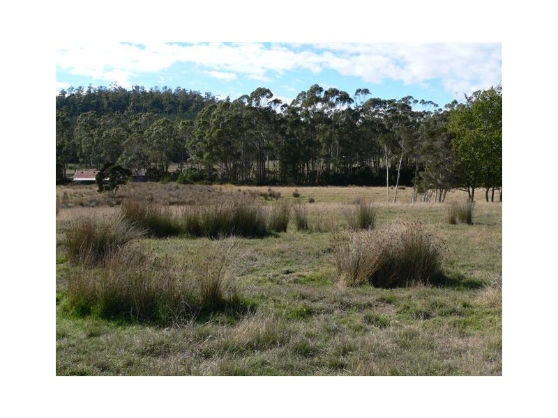 136 Long Plains Road, Exeter TAS 7275