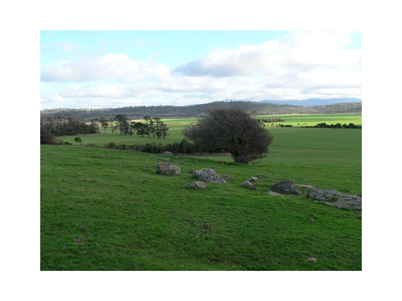 Lots 3 and 5 Brodies Road, Rowella TAS 7270