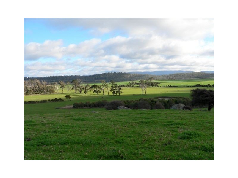 Lots 3 and 5 Brodies Road, Rowella TAS 7270