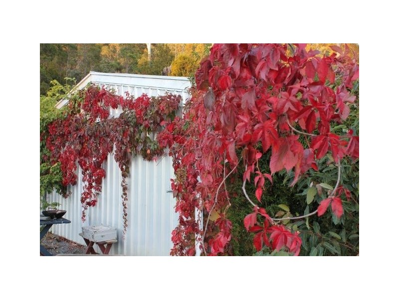 819 Bridgenorth Road, Bridgenorth TAS 7277