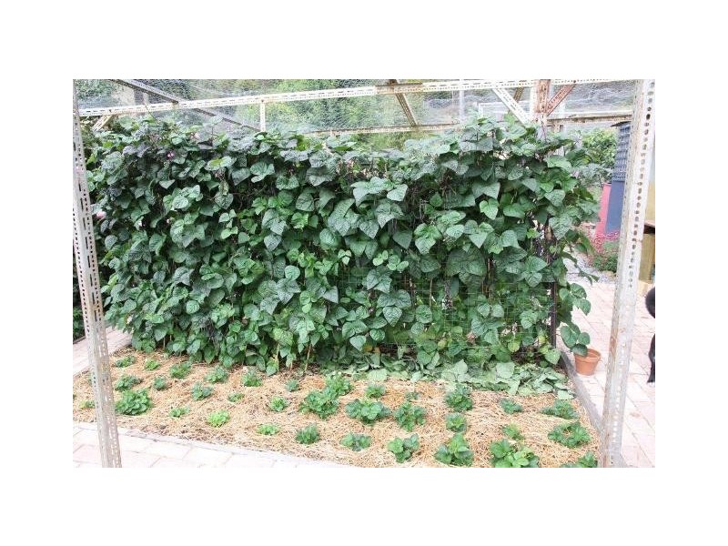 819 Bridgenorth Road, Bridgenorth TAS 7277