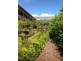 543 John Lees Drive, Dilston TAS 7252