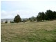 Lot 3, 543 John Lees Drive, Dilston TAS 7252