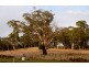 Lot 3, 543 John Lees Drive, Dilston TAS 7252