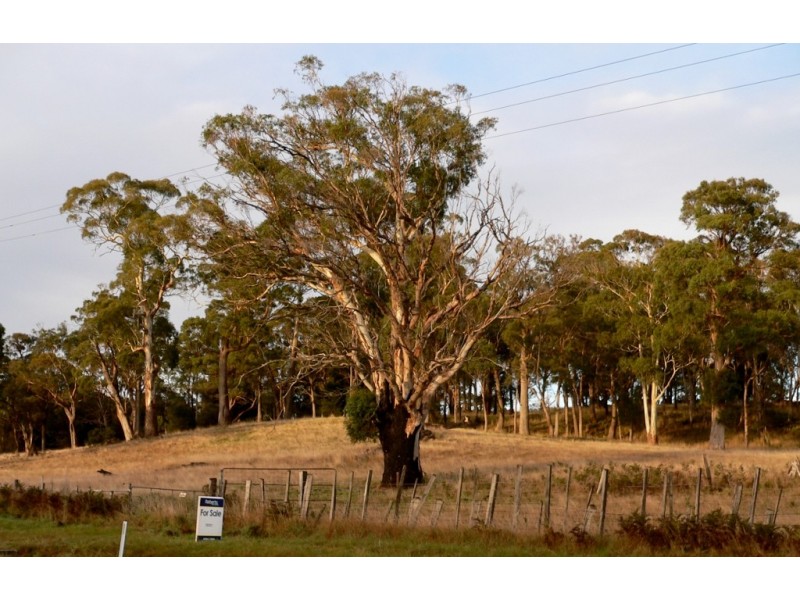 Lot 3, 543 John Lees Drive, Dilston TAS 7252