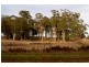 Lot 3, 543 John Lees Drive, Dilston TAS 7252