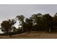 Lot 3, 543 John Lees Drive, Dilston TAS 7252
