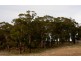 Lot 3, 543 John Lees Drive, Dilston TAS 7252
