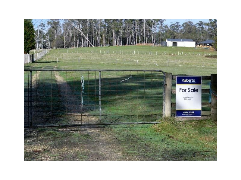 489 Gravelly Beach Road, Gravelly Beach TAS 7276