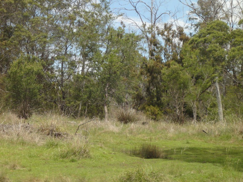 489 Gravelly Beach Road, Gravelly Beach TAS 7276