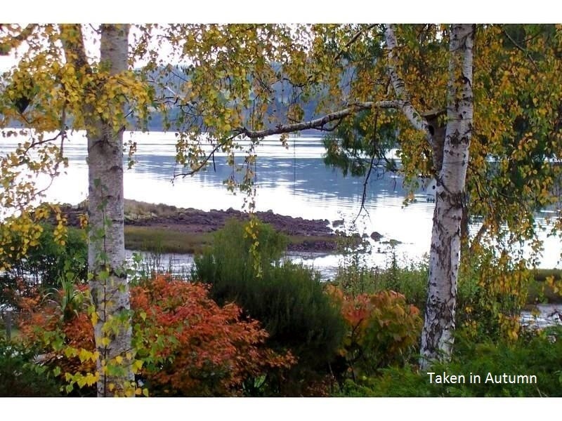 384 Deviot Road, Deviot TAS 7275