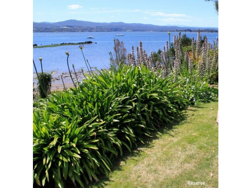 384 Deviot Road, Deviot TAS 7275