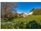 18 Main Road, Lanena TAS 7275