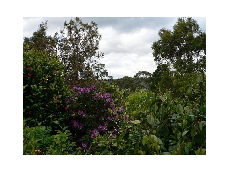 652 Deviot Road, Deviot TAS 7275