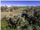 131 Porters Road, Kayena TAS 7270