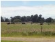 1416 Greens Beach Road, Kelso TAS 7270