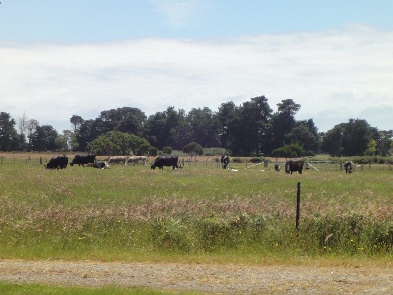 1416 Greens Beach Road, Kelso TAS 7270