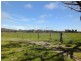 1416 Greens Beach Road, Kelso TAS 7270